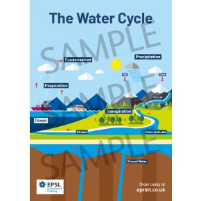 The Water Cycle A2 Poster
